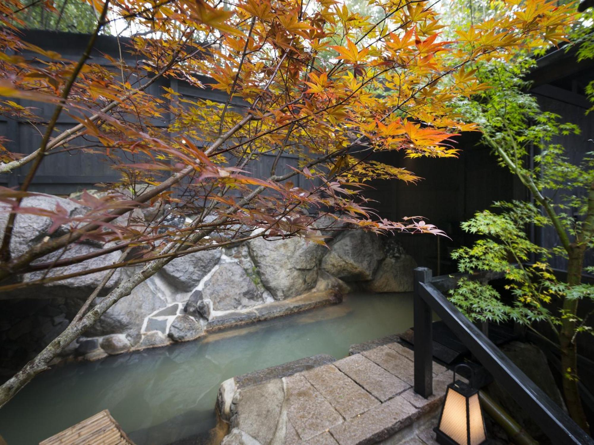 Hikyou Shirakawagensen Sansou Takefue Minamioguni Exterior photo